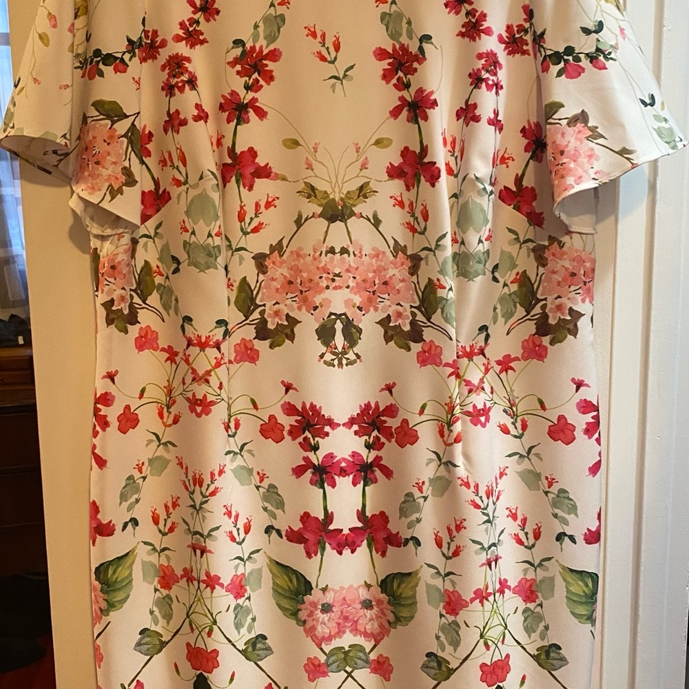 Adrianna Pappell Women’s dress - Picture 1 of 2